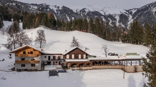 Bio-Bergbauernhof Weger