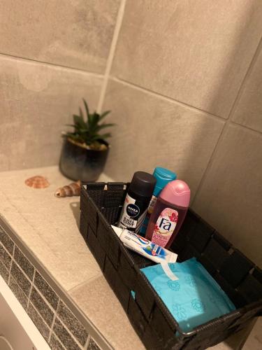 Zwarte Arend AirBnB, Antwerp (photo 8)