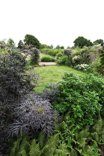Whytings Stud Barn 2 photo 3