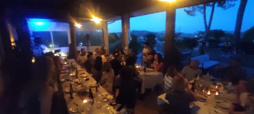 Bell tent in the vineyard with spectacular view