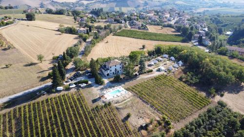 Bell tent in the vineyard with spectacular view