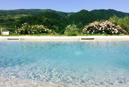 AGRITURISMO PODERE LE PIALLE