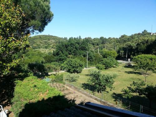 Appartement au fond du jardin