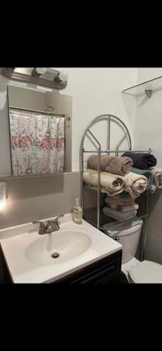 2 Spacious Apartments Oasis to choose from 20 Min from Manhattan in a Quiet Neighborhood in Sunnyside, USA
