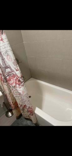 2 Spacious Apartments Oasis to choose from 20 Min from Manhattan in a Quiet Neighborhood in Sunnyside, USA