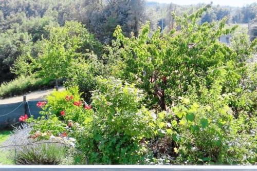 Casa Vacanze Le Vigne in 福爾利德爾桑尼奧