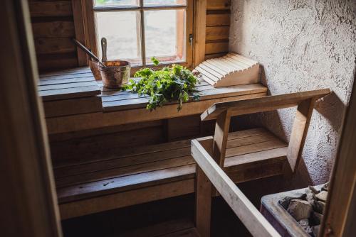 ساونا, Susimetsa in Parnumaa