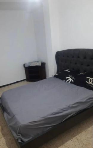 Apartement T3 salamandre