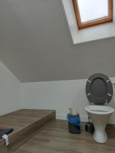 Colibri Studio
