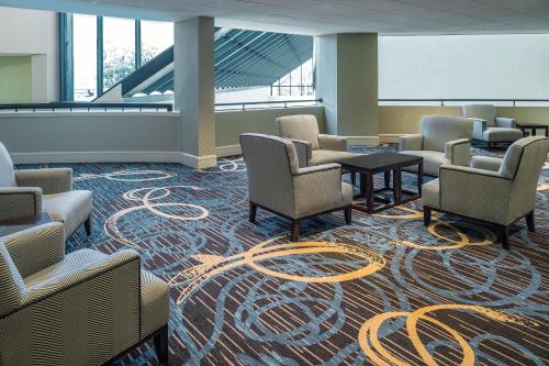 Sheraton North Houston at George Bush Intercontinental - image 10