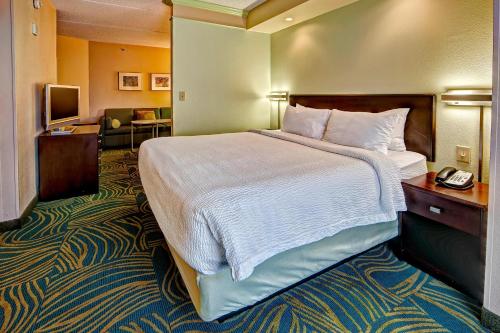 SpringHill Suites by Marriott Norfolk Old Dominion University