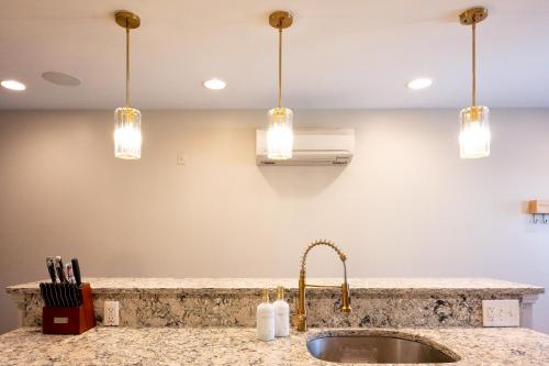 Spacious Federal Hill Home with Rooftop & 4 Parking Spots in Federal Hill