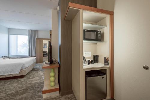 SpringHill Suites Tampa North/Tampa Palms