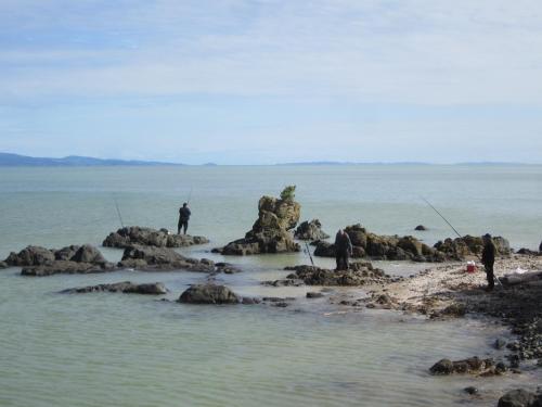 迪克森假日公园