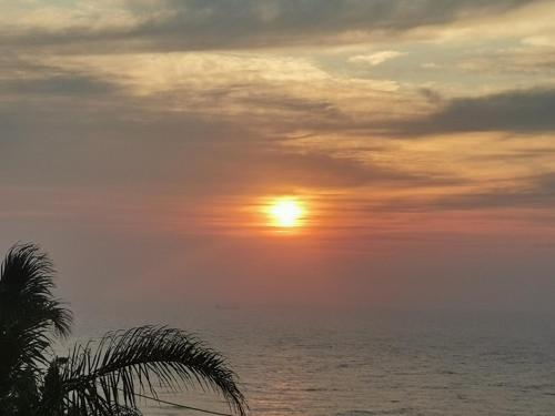 Jackie's s Ocean View in Bluff