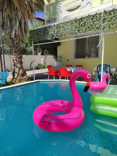 Swimming pool and garden view rooms for rent