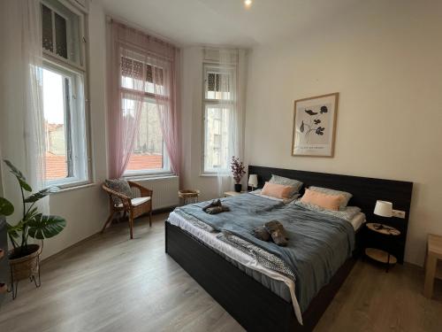 D58 Apartments in the city center 1
