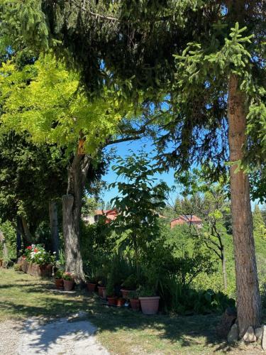 Moncrivel Rooms & Relax