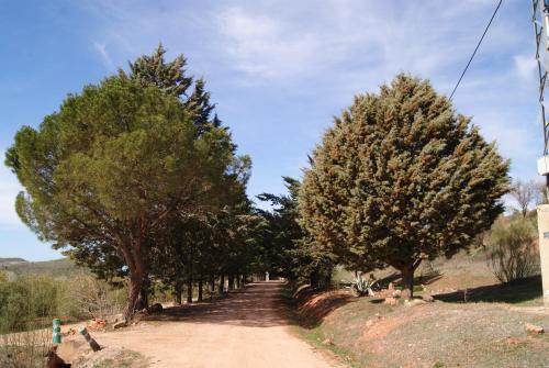 Casas Rurales Los Cortijos - image 10