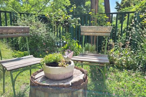 Family friendly villa Budapest - image 13