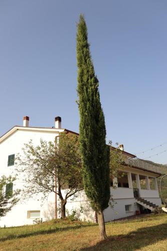  Azienda Agricola Sebastiani in Cittaducale