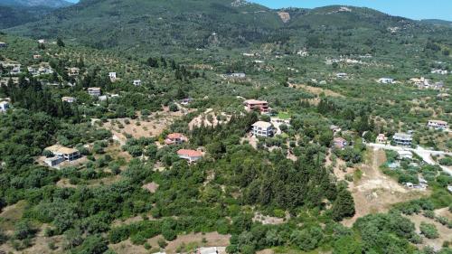 Polyxenis Rooms Polyxenis Rooms