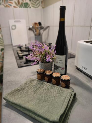 Kitchen, Gite A l'aigle de sable in Kintzheim