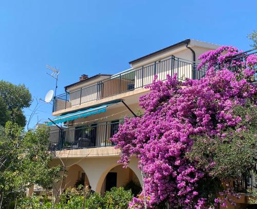  Apartments Lilly, Unterkunft in Zaboric