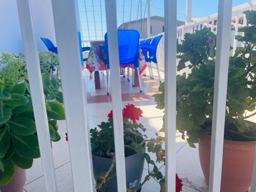 Fori Vodo in Divjake