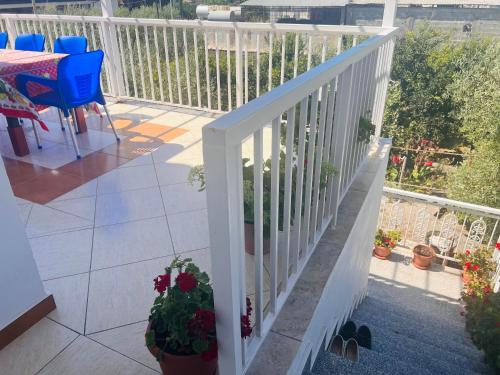 Fori Vodo in Divjake