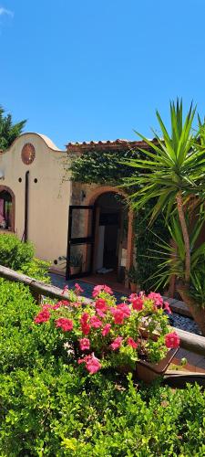 For Two Monolocali - Accommodation - Marina di Camerota