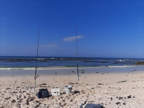 pludmale, Pearly Beach Fish Relax in Pearly Beach