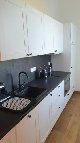 Konyha, Moderní apartmán na Šumavě - Zdíkovec 21 (Moderni apartman na Sumave - Zdikovec 21) in Zdíkov