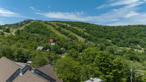 4 Seasons at Beech Mountain