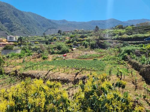 Vivienda Vacacional Ca Na Paula