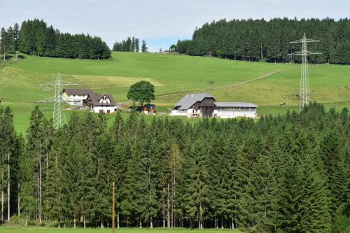 Dürrenbartleshof - Apartment - Breitnau