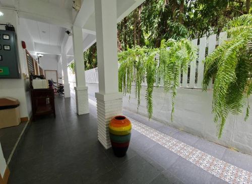 88 Backpackers Hua Hin