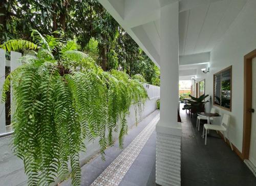 88 Backpackers Hua Hin