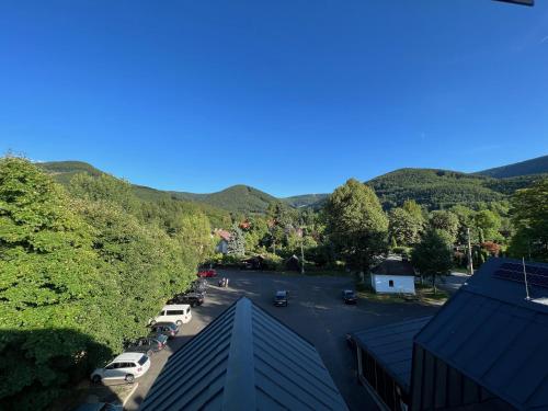 One-Bedroom Apartment with View