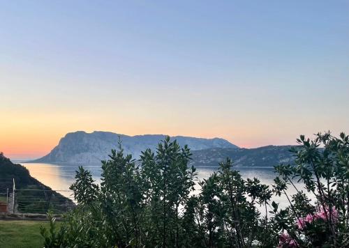 Punta Est Trilocale Soppalco con Terrazza Vista Mare