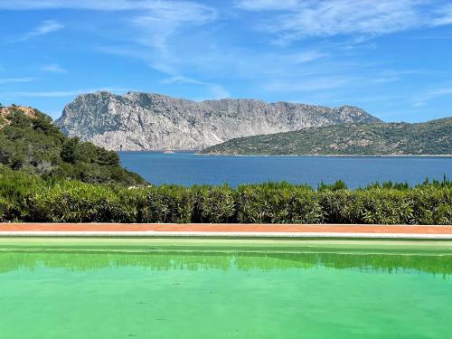 Punta Est Trilocale Soppalco con Terrazza Vista Mare