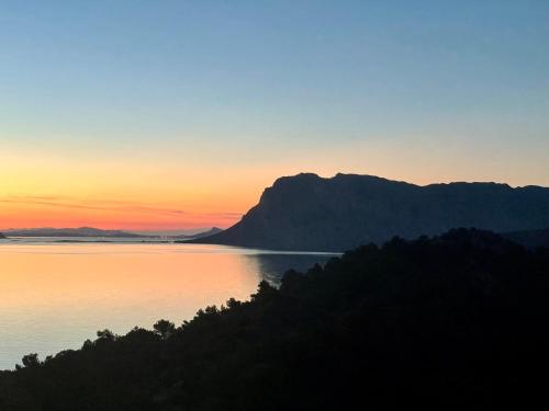 Punta Est Trilocale Soppalco con Terrazza Vista Mare