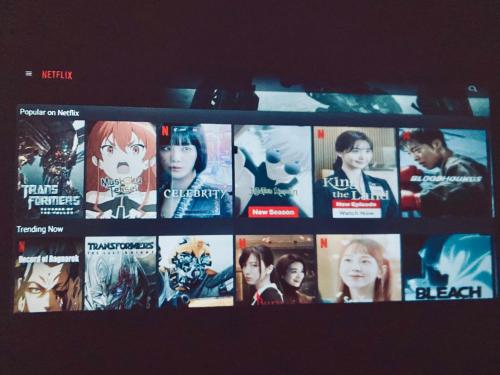 HeyMuji Projector-Netflix-Darts-Near Lotus HeyMuji Projector-Netflix-Darts-Near Lotus