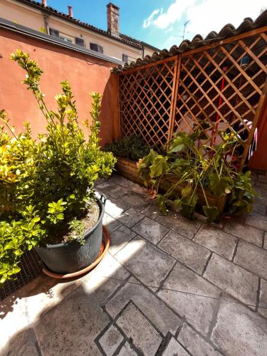 Pink Flamingo Accomodation 4