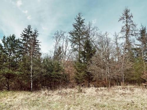 Dein gemütliches Waldhaus im Soonwald