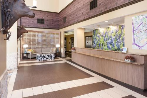 SpringHill Suites by Marriott Dallas Downtown/West End