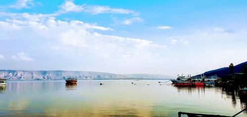 티베리아스 Sea of Galilee 622 4성급 싱글룸 부대시설