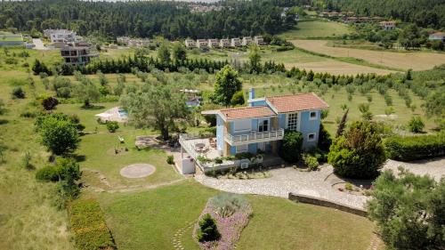 Olivos Villa Sani 2