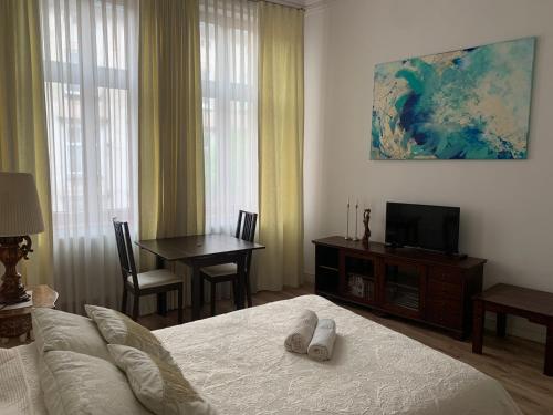 Studio Appartment in Old Town Krakow, Cracovie (photo 2)