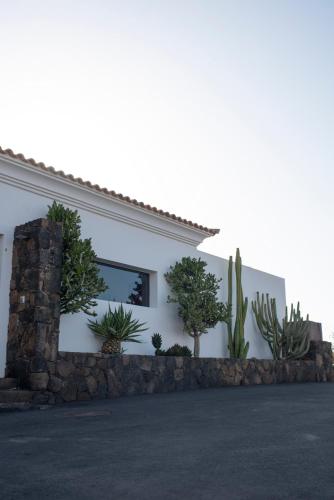 Casa Mila with heated pool in El Roque